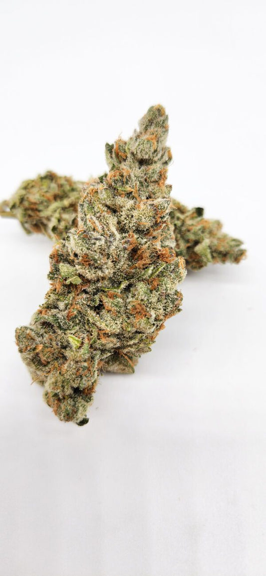 Da Bag Boyz- Indoor hybrid