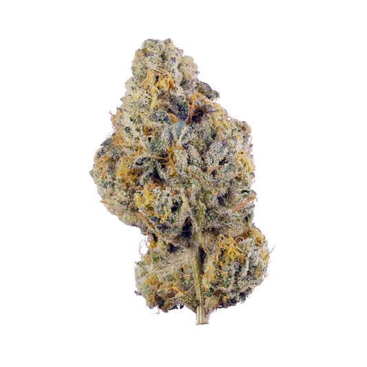 Da Bag Boyz Hybrid exotic